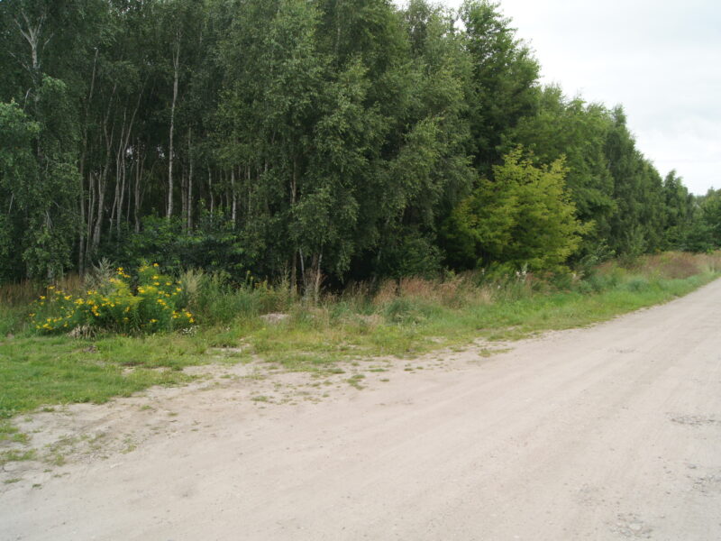Działki Budowlane