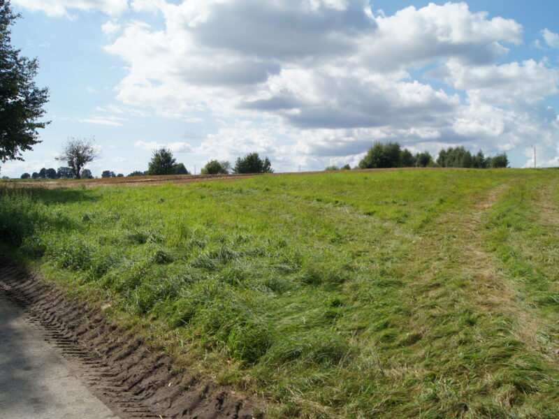 DZIALKA BUDOWLANA