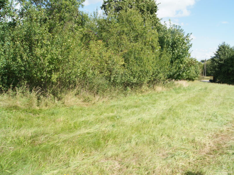 DZIALKA BUDOWLANA