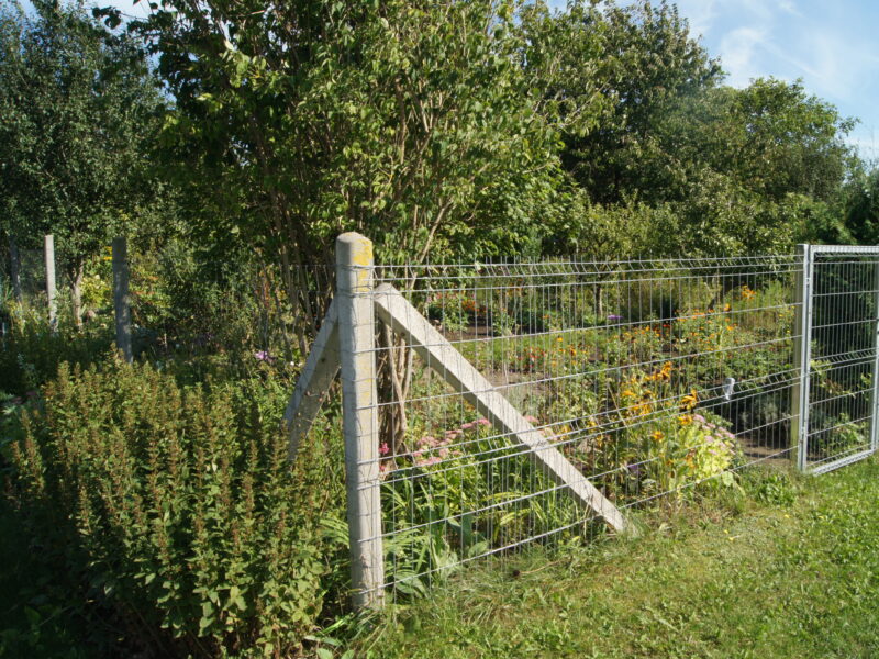 MIESZKANIE