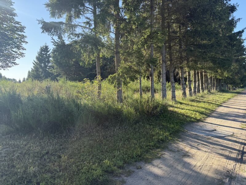 Działki budowlane wraz z siedliskiem w miejscowości Role