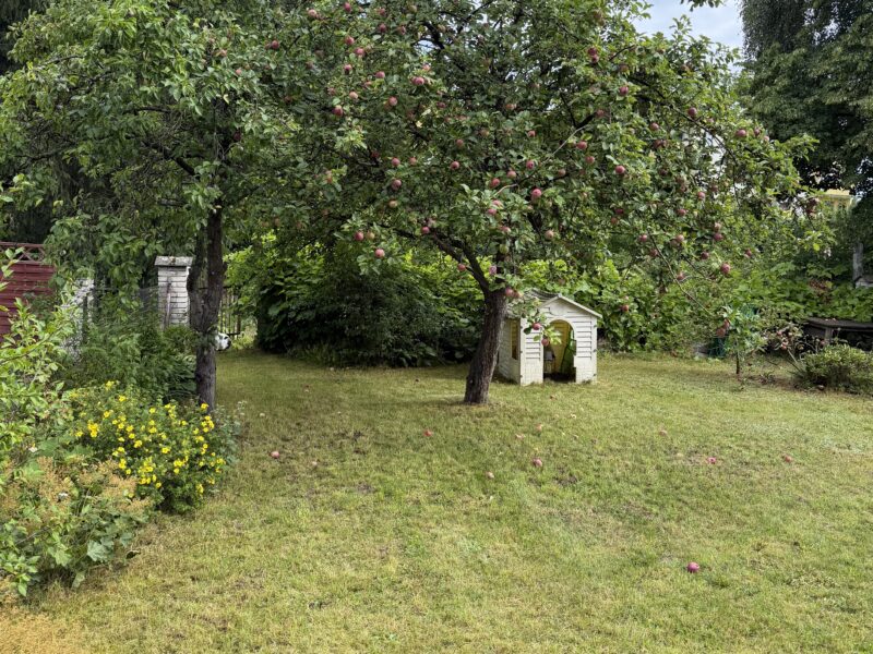 Dom na sprzedaż w Świdwinie