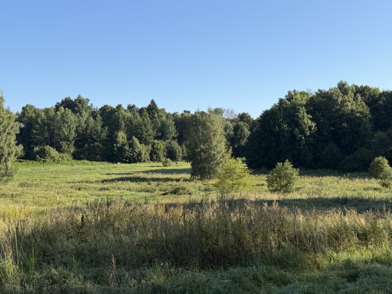Działki rolne w miejscowości Rusinowo