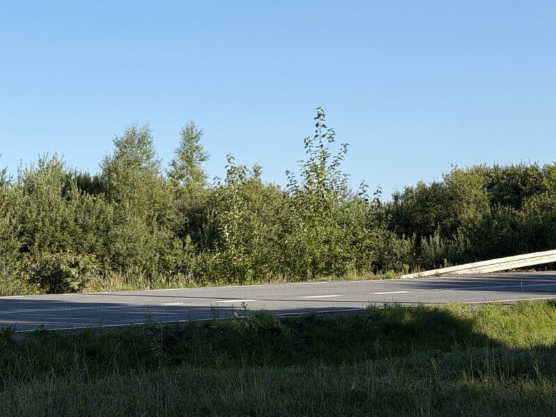 Działki rolne w miejscowości Rusinowo